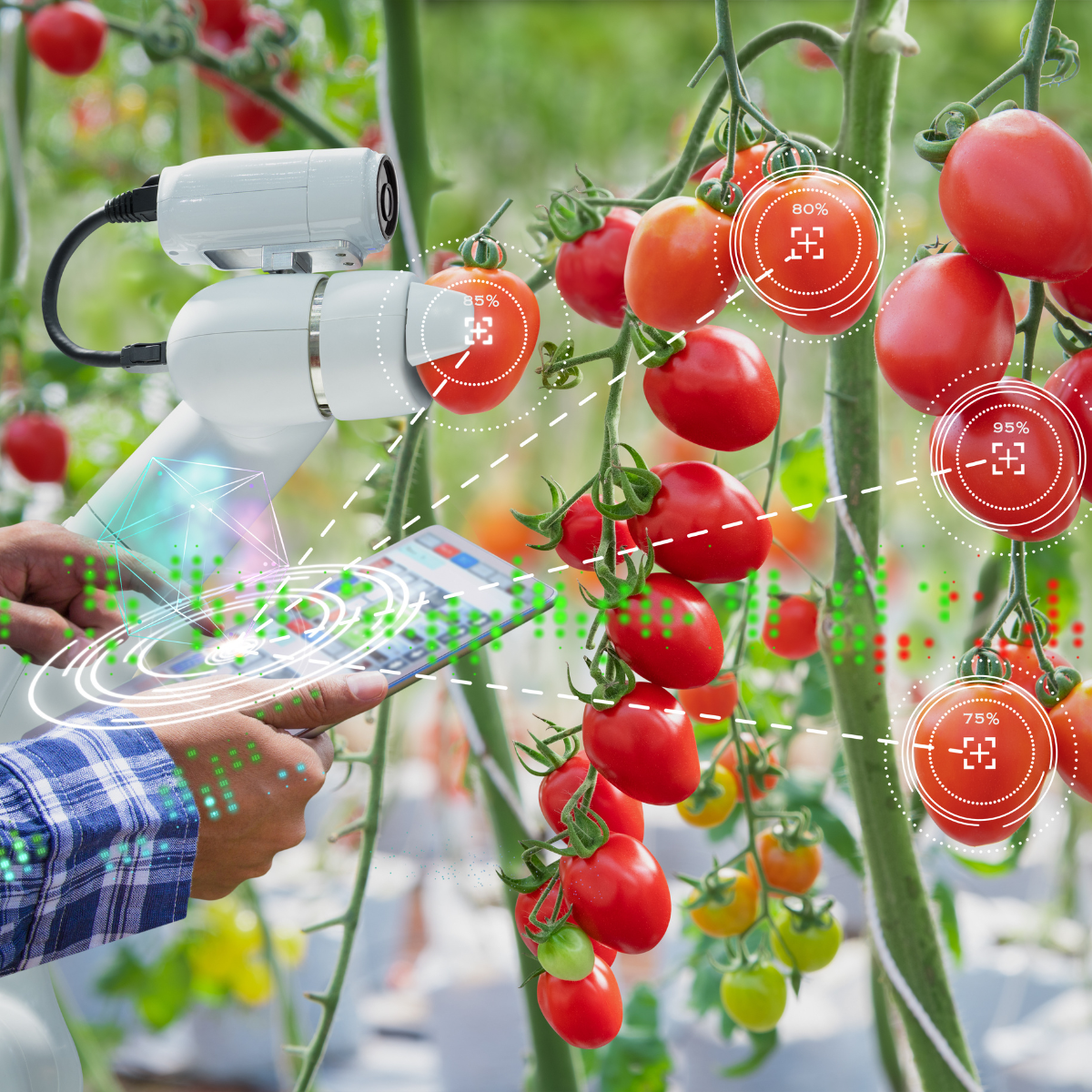 Farming & Agriculture